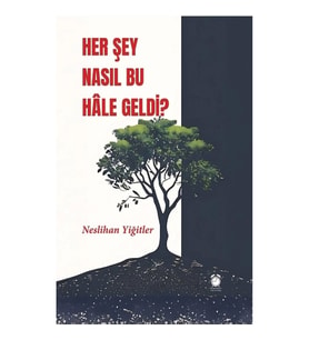 Her Şey Nasıl Bu Hale Geldi?