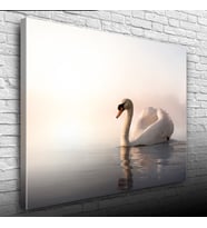 Göldeki Kuğu Kanvas Tablo 50 x 70