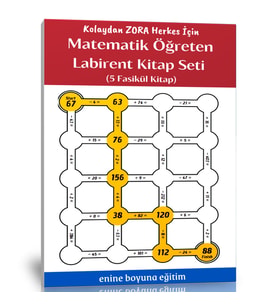 Matematik Öğreten Labirent Kitap Seti (5 Fasikül Kitap)