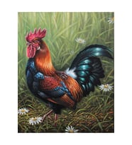 Erken Öten Horoz Çerçeveli 50x65 Sayılarla Boyama Hobi Seti
