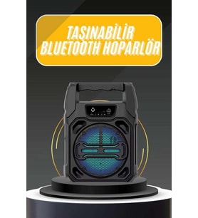 Bluetooth Hoparlör ve Mikrofonlu 6.5 İnç FM Radyo