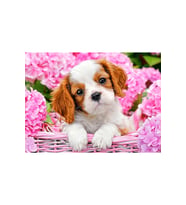 Çiçekler Ve Yavru Köpek Çerçeveli 50x65 Sayılarla Boyama Hobi Seti