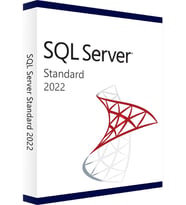 Microsoft Windows SQL Server 2022 Standard ESD Lisans