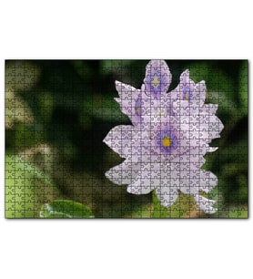 Cakapuzzle Sümbül Yakın Plan  Puzzle Yapboz MDF (Ahşap) (120 Parça)