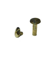 Northcity Cilt Vida 13mm Sarı - Menü, Katalog ve Kartela Bağlama Vidası