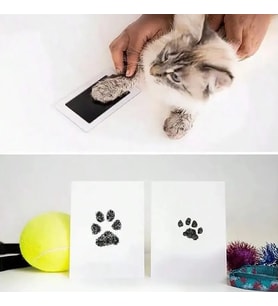 Kedi Köpek Pati İzi Fotoğraf Çerçevesi Seti
