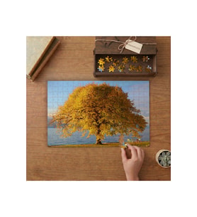 Yaprakları Sararmıl-ş Ağaç Tasarımı 240 parça Ahşap Puzzle Ahşap Kutuda MP03873