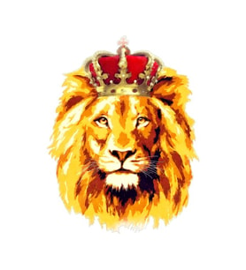 Renkli Aslan Araba Oto Sticker Yapıştırma Etiket 17CM h1