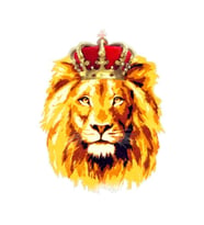 Renkli Aslan Araba Oto Sticker Yapıştırma Etiket 17CM h1