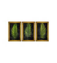 Yeşil Tropikal Yaprak Temalı 3 lü Kanvas Tablo Seti 150 x 70 cm Gold Çerçeve