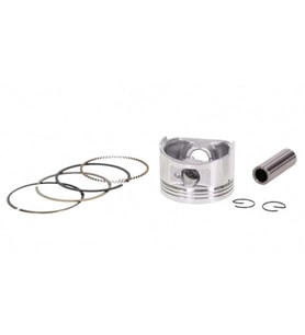 Piston 54.00 14p Std Cup 125