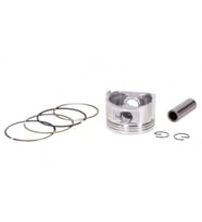 Piston 54.00 14p Std Cup 125