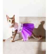 Eflatun Sevimli Fare Tütülü Kedi Elbisesi, Kıyafeti Tutu