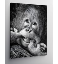 Kanvas Tablo Gülümseyen Orangutan