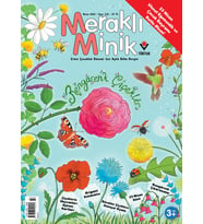 Meraklı Minik Dergi Nisan 2026 (3-6 yaş)