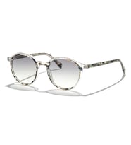 Zen Milano Eyewear YHP8106-C4 50 Unisex Güneş Gözlüğü