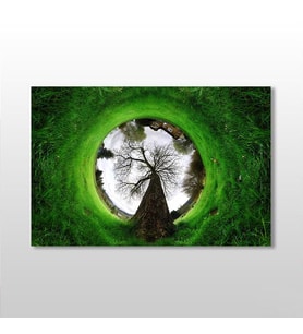 Küre Çimenlik Kanvas Tablo 150x100cm (Karışık)