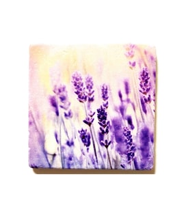 Doğal Taş Dekoratif Figürlü Banyo Gider Kapağı 10x10 cm