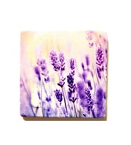 Doğal Taş Dekoratif Figürlü Banyo Gider Kapağı 10x10 cm