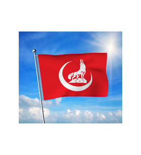Bozkurt Hilal Kırmızı Sancak MHP Bayrağı Premium Raşel Kumaş 100x150 cm