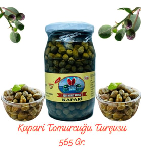 KAPARİ TOMURCUĞU 565 GR. AŞÇI MURAT KAPARİ