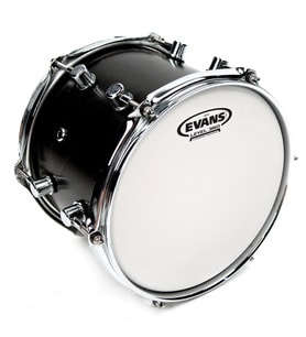 Evans B16G14 G14 Coated 16 İnç Tom Derisi (Profesyonel)  14 Mil Tek Katmanlı Kalın Yapı, Güçlü Atak Kapasitesi ve Geniş Dinamik Aralık