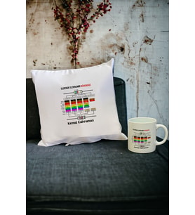 Elektrik Elektronik Mühendisi Kupa Bardak ve Yastık Set 003 (Beyaz)