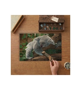 Dalda Uyuyan Koala Tasarımı 240 parça Ahşap Puzzle Ahşap Kutuda MP06363
