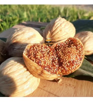 Extra Boy 1kg (YENİ MAHSUL)