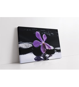 Spa Taşları ve Orkide (A.ALTIN)