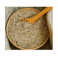Polo Premium Sade Kanarya Yemi (1. Sınıf Aspur ) 1Kg AÇIK