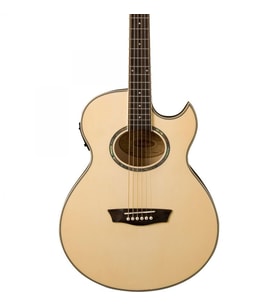 Washburn EA20 Elektro Akustik Gitar
