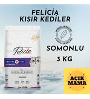 Felicia Somon Balıklı Kısır Yetişkin Açık Kedi Maması 3 KG