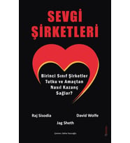 Sevgi Şirketleri