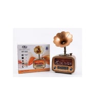 Everton Rt-422 Bluetooth Fm-Usb-Tf-Aux Şarjlı Nostaljik Radyo Gramafon (Alev Ambiyans Işığı)
