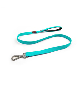 Tailpetz Match Leash Köpek Gezdirme Kayışı Ocean Small
