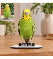 Fotoğraftan Kişiye Özel Evcil Hayvan Fotoğraflı MDF Karikatürlü 18 cm MDF Masaüstü Biblo - Masaüstü Hediye 5. Model
