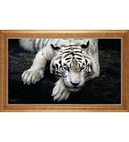 ALTIN ÇERÇEVELİ PASPARTULU TABLO CR952