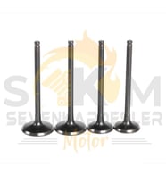 SUZUKİ GN250 UYUMLU SİBOP 4 LÜ SET TİGER DQ