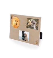 Zekupp Metal Fotoğraf Resim Çerçevesi, E1013, 22x15cm