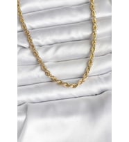 14K Gold Renk Kaplama Burgu Model CM Kadın Kolye TJ-BKO10729
