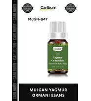 Özel Üretim Ferahlatıcı Kalıcı Doğal Bitki Özlü Konsantre Oda Parfümü MUJGAN YAĞMUR ORMANI ESANS