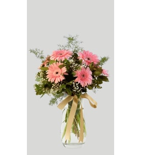 Pembe Düşler Gerbera Aranjmanı - Paşabahçe Vazoda