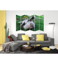 KEDİ MDF TABLO-2561 MODEL-B