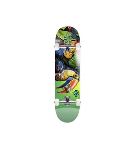 8.0 Toucan FP Green Skateboard Kaykay