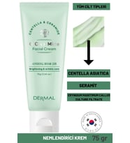Dermal CICA x Mide Facial Cream Centella Asiatica ve Seramid Özlü Aydınlatıcı ve Kırışıklık Bakımı Yüz Kremi 75 ML 