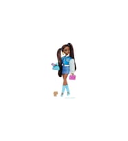 Barbie Dream Bestıes Brooklyn HYC20 HYC22