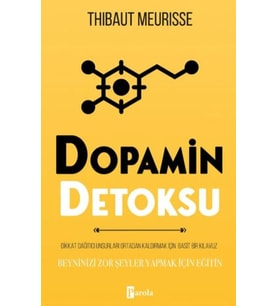 Dopamin Detoksu