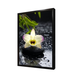 Spa Taşları ve Orkide Çerçeveli Mdf Tablo