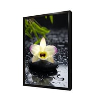 Spa Taşları ve Orkide Çerçeveli Mdf Tablo